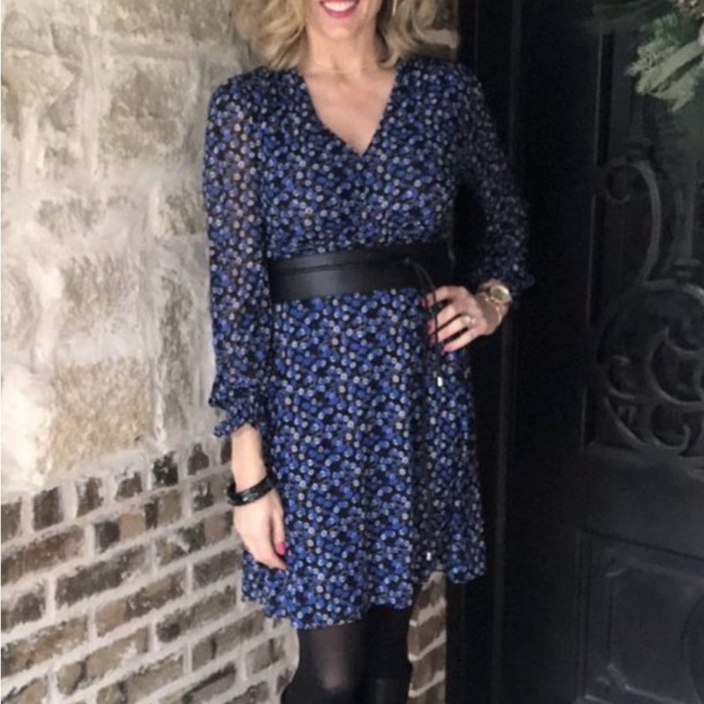 CAbi The Ten Dress